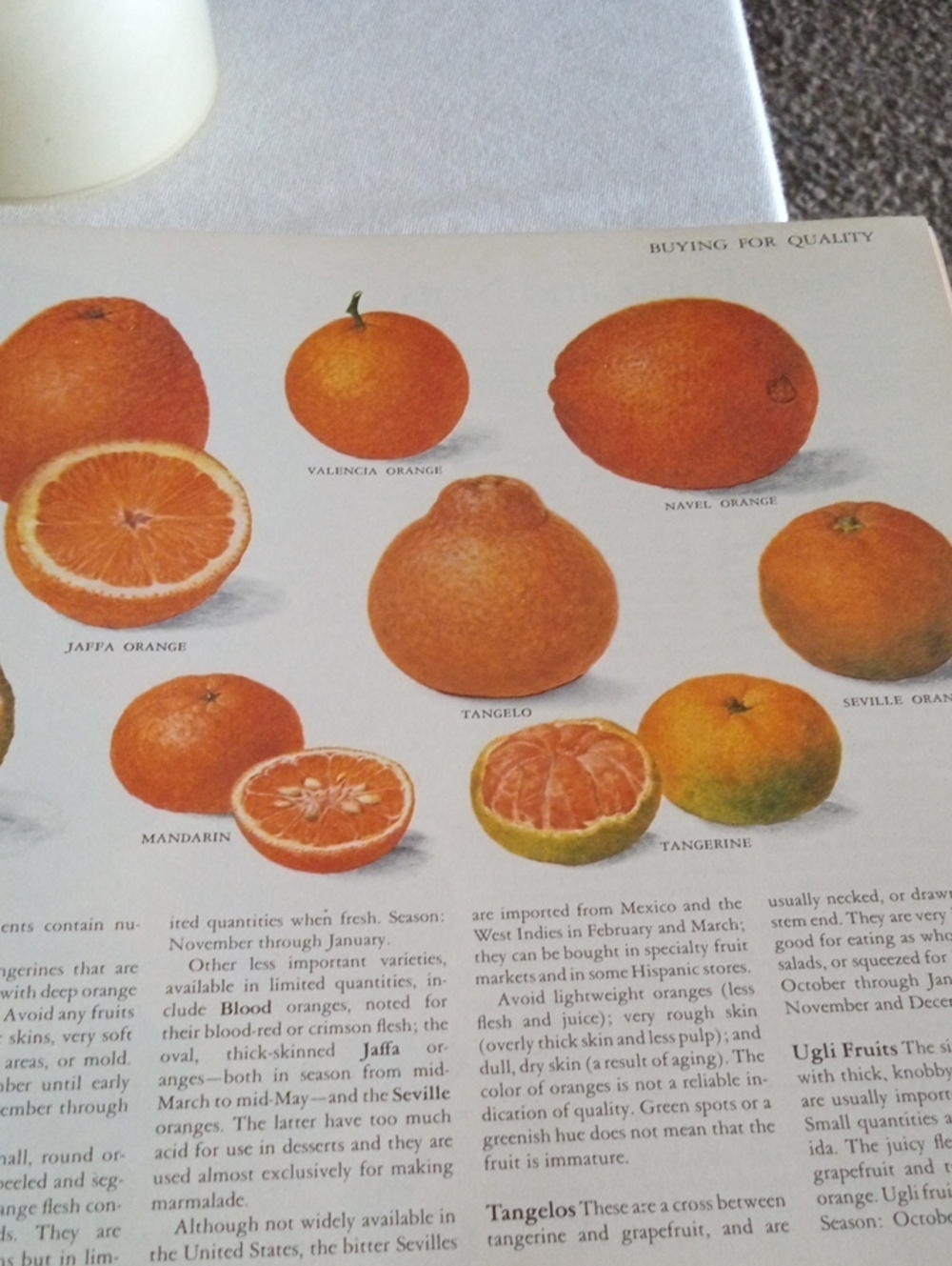 Reader's Digest Creative Cooking Cookbook - Picture 9 of 14